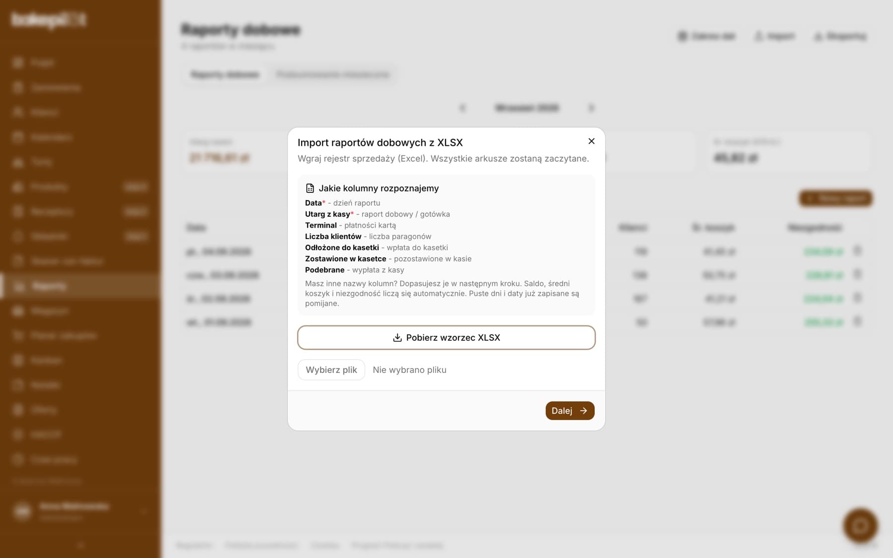Okno Import raportów dobowych z XLSX z listą rozpoznawanych kolumn, przyciskiem Pobierz wzorzec XLSX i wyborem pliku